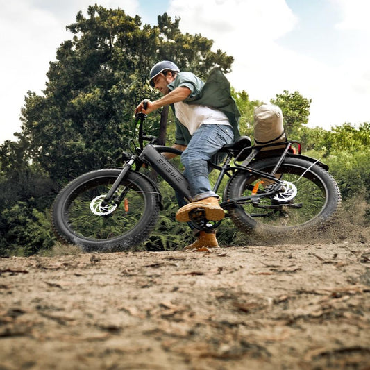 ENGWE E26 All-Terrain E-Bike: 250W, 48V, 16Ah Akku, LCD, Federgabel & 7-Gang-Schaltung