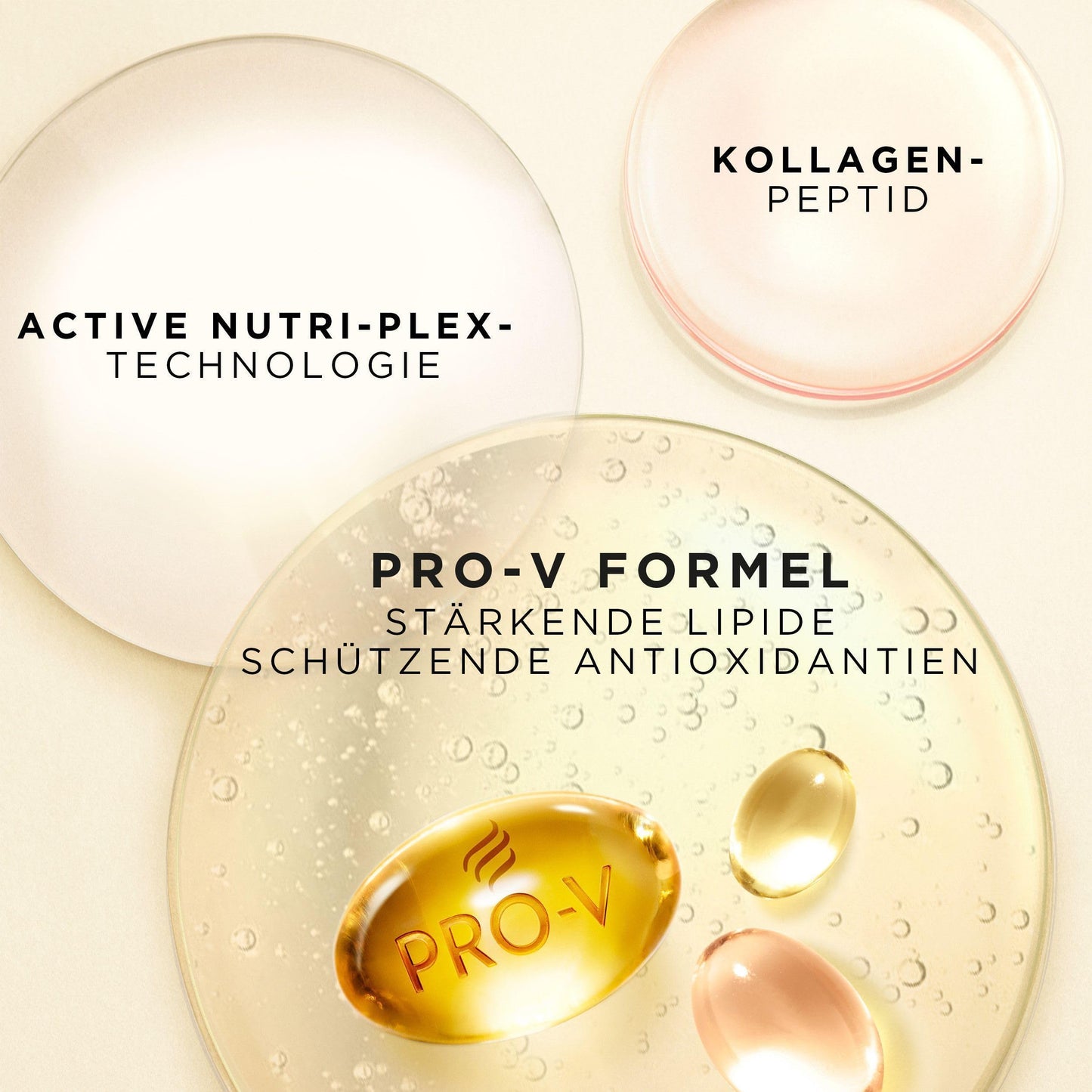 Pantene Pro-V Repair & Care Shampoo (1000ml) mit Pumpspender | Ohne Silikone