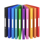 ACROPAQ Ringbücher in A4-Format mit Rückenetiketten (10 Stück): Schulmappen