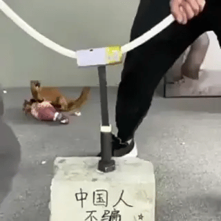 Multifunktionaler Starker Superkleber für Metall, Holz, Kunststoff | Universal Sekundenkleber (Preview GIF)